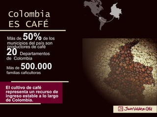 Más de 50%de los
municipios del país son
productores de café
20 Departamentos
de Colombia
Más de 500.000
familias caficultoras
Colombia
ES CAFÉ
El cultivo de café
representa un recurso de
ingreso estable a lo largo
de Colombia.
 