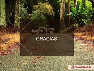 GRACIAS
 