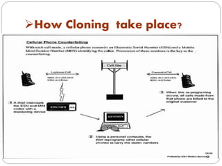 How Cloning take place?
 