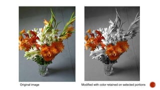 Original image Modified with color retained on selected portions
 