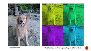 Original image Modified to a multi-image collage in different tints
 