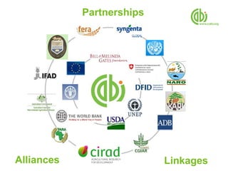 Partnerships




Alliances                  Linkages
 