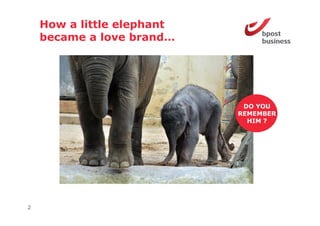 How a little elephant
    became a love brand
                    brand…




                              DO YOU
                             REMEMBER
                               HIM ?




2
 
