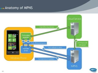 Anatomy of MPNS




44
 