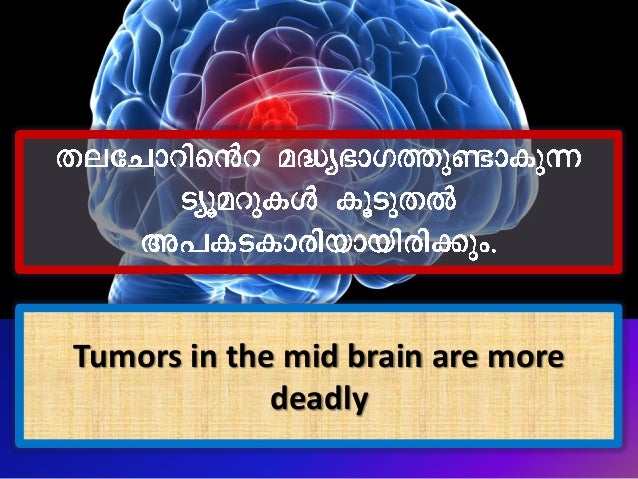 Is Mobile Radiation Harmful To Your Health Malayalam And English Is Mobile Radiation Harmful To Your Health Malayalam And English