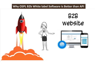 Why OSPL B2b White label Software is Better than API
 