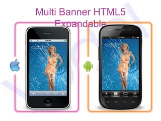 Multi Banner HTML5
    Expandable
 
