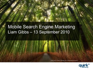 Mobile Search Engine MarketingLiam Gibbs – 13 September 2010 Credit: Stuck in Customs http://www.flickr.com/photos/stuckincustoms/ 