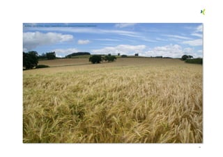 12
Author: Ian Britton, http://www.flickr.com/photos/freefoto/728651045/
 