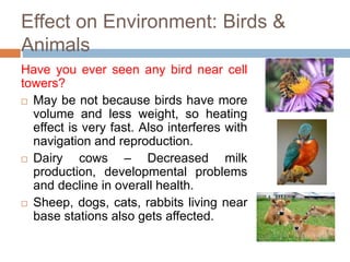 Effect on Environment: Birds &
Animals
Have you ever seen any bird near cell
towers?
 May be not because birds have more
volume and less weight, so heating
effect is very fast. Also interferes with
navigation and reproduction.
 Dairy cows – Decreased milk
production, developmental problems
and decline in overall health.
 Sheep, dogs, cats, rabbits living near
base stations also gets affected.
 