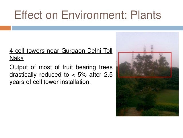 Cep telefonu 3g Tekrarlayıcı sinyal amplifikatörü, lcd