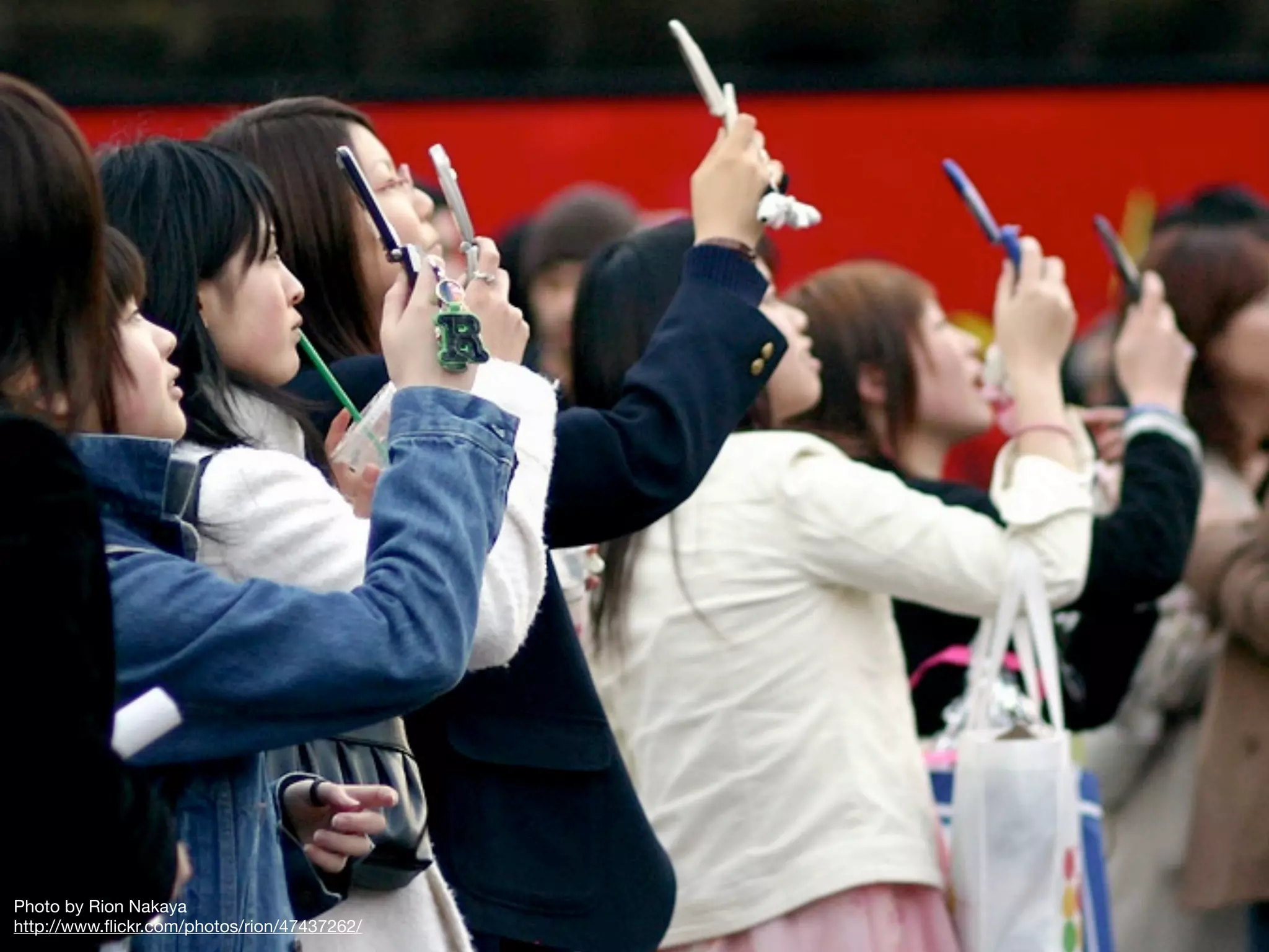 Photo by Rion Nakaya
http://www.ﬂickr.com/photos/rion/47437262/
 