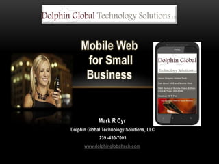 Mark R Cyr
Dolphin Global Technology Solutions, LLC
             239 -430-7003
      www.dolphinglobaltech.com
 