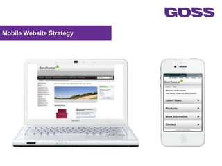 Mobile Website Strategy




                          1
 