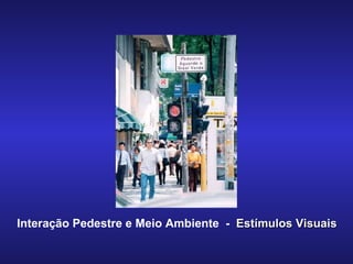 Interação Pedestre e Meio Ambiente  -  Estímulos Visuais 