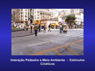 Interação Pedestre e Meio Ambiente  -  Estímulos Cinéticos 