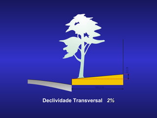 Declividade Transversal  2% 