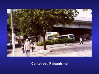 Canteiros / Paisagismo 