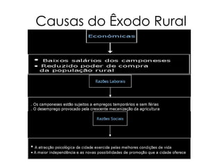 Causas do Êxodo Rural
 