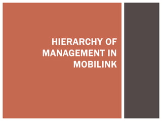 HIERARCHY OF
MANAGEMENT IN
MOBILINK
 