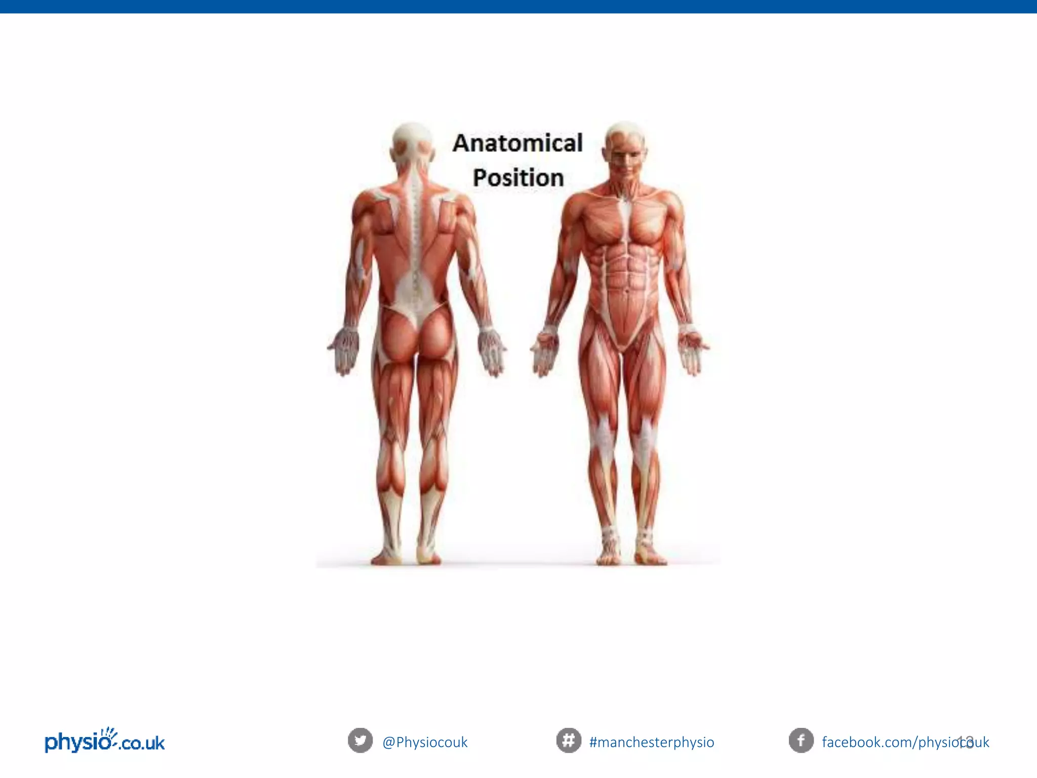 13@Physiocouk #manchesterphysio facebook.com/physiocouk
 