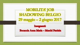 MOBILITA’ JOB
SHADOWING BELGIO
29 maggio – 2 giugno 2017
Insegnanti:
Bocaccia Anna Maria – Marchi Patrizia
 