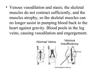 • Venous vasodilation and stasis; the skeletal
  muscles do not contract sufficiently, and the
  muscles atrophy, so the skeletal muscles can
  no longer assist in pumping blood back to the
  heart against gravity. Blood pools in the leg
  veins, causing vasodilation and engorgement.
 