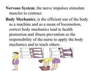 Nervous System; the nerve impulses stimulate
 muscles to contract.
Body Mechanics; is the efficient use of the body
 as a machine and as a mean of locomotion,
 correct body mechanics lead to health
 promotion and illness prevention so the
 responsibility of the nurse to apply the body
 mechanics and to teach others .
 