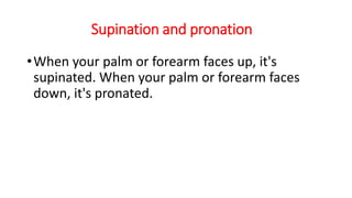 Supination and pronation
•When your palm or forearm faces up, it's
supinated. When your palm or forearm faces
down, it's pronated.
 