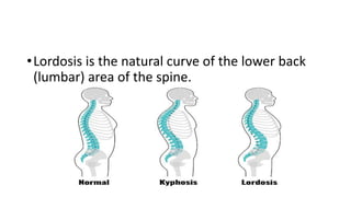 •Lordosis is the natural curve of the lower back
(lumbar) area of the spine.
 