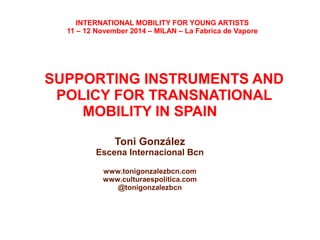 SUPPORTING INSTRUMENTS AND POLICY FOR TRANSNATIONAL ARTISTIC MOBILITY IN SPAIN