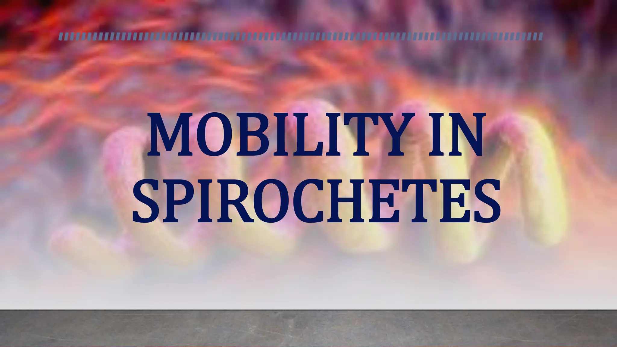MOBILITY IN
SPIROCHETES
 