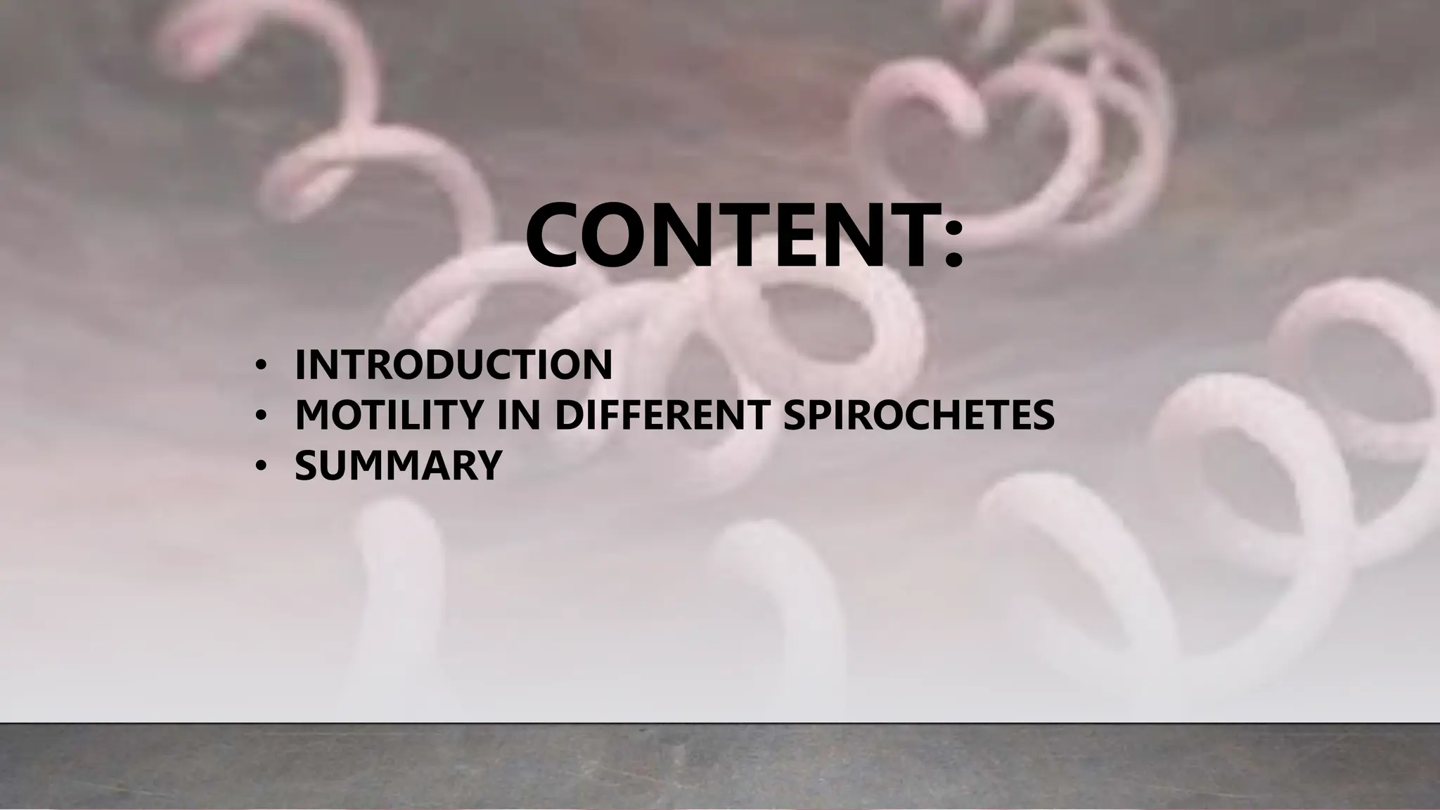 CONTENT:
• INTRODUCTION
• MOTILITY IN DIFFERENT SPIROCHETES
• SUMMARY
 