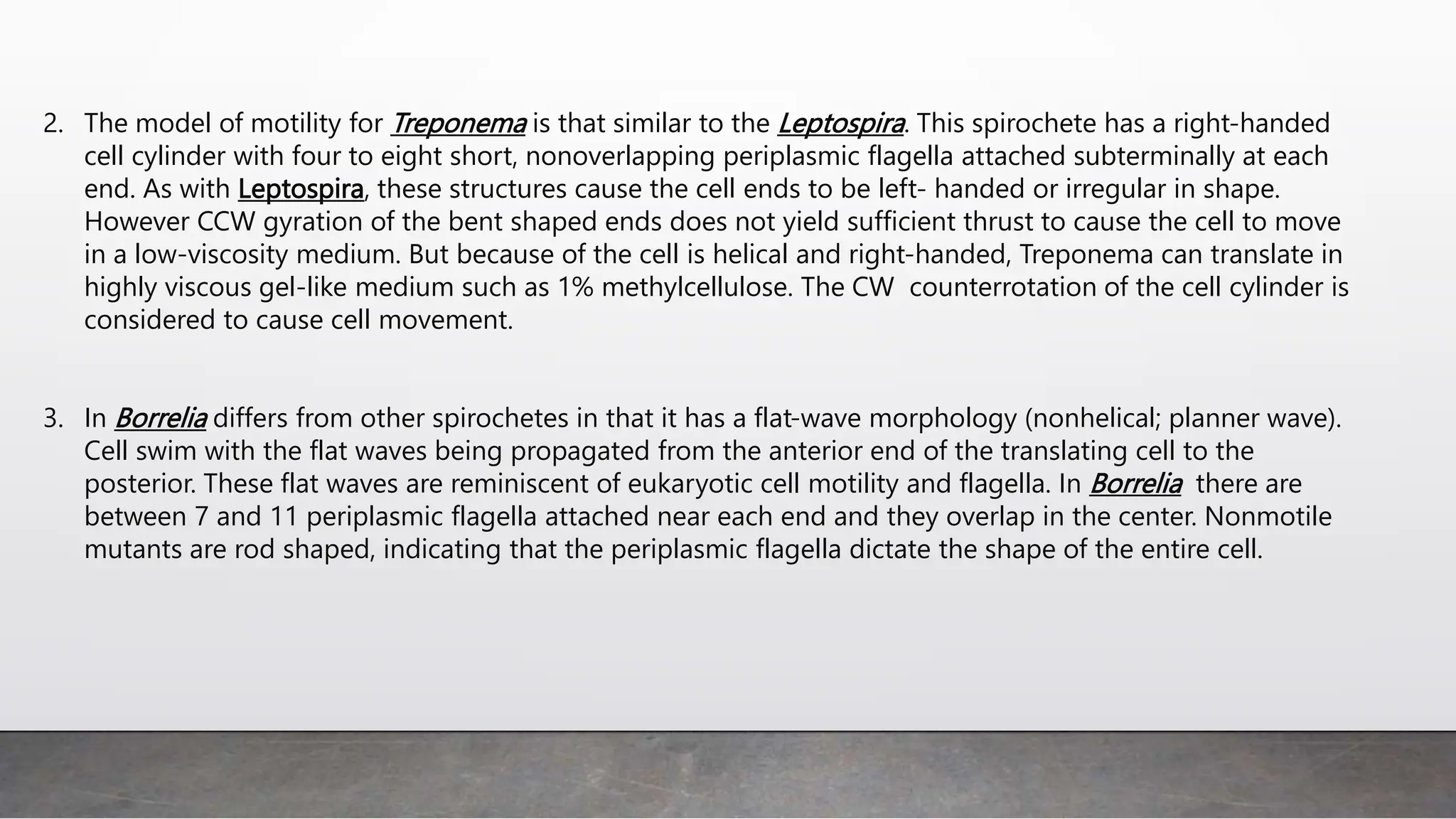 2. The model of motility for Treponema is that similar to the Leptospira. This spirochete has a right-handed
cell cylinder with four to eight short, nonoverlapping periplasmic flagella attached subterminally at each
end. As with Leptospira, these structures cause the cell ends to be left- handed or irregular in shape.
However CCW gyration of the bent shaped ends does not yield sufficient thrust to cause the cell to move
in a low-viscosity medium. But because of the cell is helical and right-handed, Treponema can translate in
highly viscous gel-like medium such as 1% methylcellulose. The CW counterrotation of the cell cylinder is
considered to cause cell movement.
3. In Borrelia differs from other spirochetes in that it has a flat-wave morphology (nonhelical; planner wave).
Cell swim with the flat waves being propagated from the anterior end of the translating cell to the
posterior. These flat waves are reminiscent of eukaryotic cell motility and flagella. In Borrelia there are
between 7 and 11 periplasmic flagella attached near each end and they overlap in the center. Nonmotile
mutants are rod shaped, indicating that the periplasmic flagella dictate the shape of the entire cell.
 