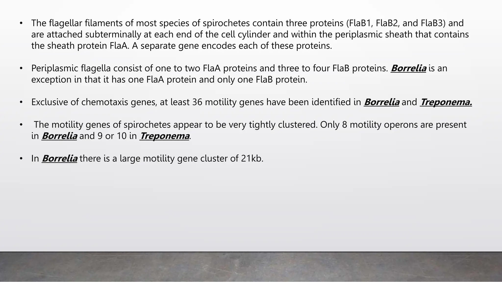 • The flagellar filaments of most species of spirochetes contain three proteins (FlaB1, FlaB2, and FlaB3) and
are attached subterminally at each end of the cell cylinder and within the periplasmic sheath that contains
the sheath protein FlaA. A separate gene encodes each of these proteins.
• Periplasmic flagella consist of one to two FlaA proteins and three to four FlaB proteins. Borrelia is an
exception in that it has one FlaA protein and only one FlaB protein.
• Exclusive of chemotaxis genes, at least 36 motility genes have been identified in Borrelia and Treponema.
• The motility genes of spirochetes appear to be very tightly clustered. Only 8 motility operons are present
in Borrelia and 9 or 10 in Treponema.
• In Borrelia there is a large motility gene cluster of 21kb.
 