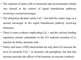 • The response of plant cells to hormonal and environmental stimuli
was framed in the context of signal transduction pathways
involving a second messenger.
• The ubiquitous divalent cation Ca2 + has held the center stage as a
second messenger in the signal transduction pathway involving
hormones.
• There is some evidence implicating Ca2 + and the calcium binding
regulatory protein calmodulin in the GA induced secretion of α-
amylase by barley aleurone cells.
• Gilroy and Jones (1992) showed that not only does GA increase the
level of cytosolic Ca2 + in aleurone cell protoplasts, but that this
increase precedes the effects of the hormone on enzyme synthesis.
 