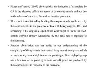 • Pilner and Varner, (1967) observed that the induction of α-amylase by
GA in the aleurone cells is the result of de novo synthesis and not due
to the release of an active form of an inactive precursor.
• This result was obtained by labeling the enzyme newly synthesized by
the aleurone cells in the presence of GA with heavy oxygen, 18O, and
separating it by isopycnic equilibrium centrifugation from the 16O-
labeled enzyme already synthesized by the cells before exposure to
the hormone.
• Another observation that has added to our understanding of the
complexity of the system is that several isozymes of α-amylase, which
separate neatly into a high isoelectric point (type B or high-pI) group
and a low isoelectric point (type A or low-pI) group are produced by
the aleurone cells in response to the hormone.
 