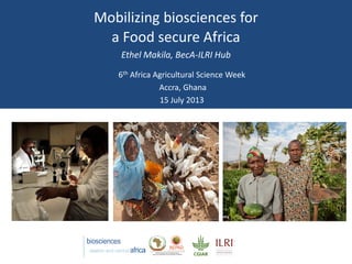 Mobilizing biosciences for
a Food secure Africa
Ethel Makila, BecA-ILRI Hub
6th Africa Agricultural Science Week
Accra, Ghana
15 July 2013
 