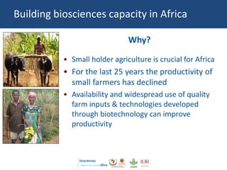 Mobilizing biosciences for a food secure Africa  