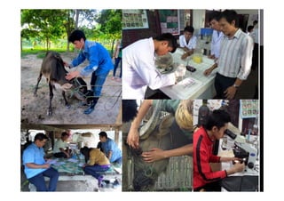 Mobilizing partnerships for multi-sector transdisciplinary research to action: A look at field examples