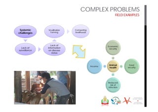 Mobilizing partnerships for multi-sector transdisciplinary research to action: A look at field examples