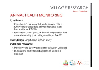 Mobilizing partnerships for multi-sector transdisciplinary research to action: A look at field examples