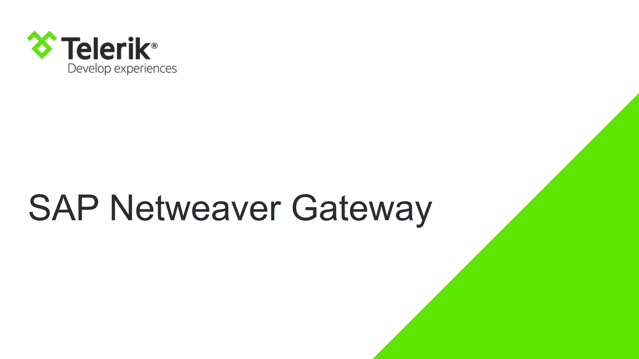 SAP Netweaver Gateway
 