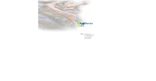 Mobilservice Ducale Notte