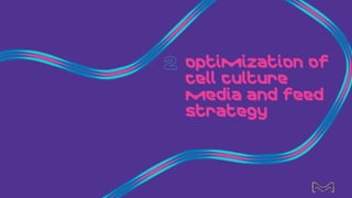 Optimization of
cell culture
media and feed
strategy
11
 