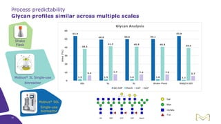 Process predictability
Glycan profiles similar across multiple scales
Shake
Flask
Mobius® 3L Single-use
bioreactor
Mobius® 50L
Single-use
bioreactor
18
 