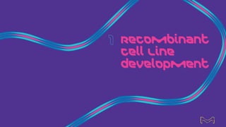 Recombinant
Cell Line
development
6
 