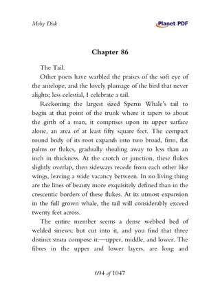 Moby Dick



                      Chapter 86

    The Tail.
    Other poets have warbled the praises of the soft eye of
the antelope, and the lovely plumage of the bird that never
alights; less celestial, I celebrate a tail.
    Reckoning the largest sized Sperm Whale’s tail to
begin at that point of the trunk where it tapers to about
the girth of a man, it comprises upon its upper surface
alone, an area of at least fifty square feet. The compact
round body of its root expands into two broad, firm, flat
palms or flukes, gradually shoaling away to less than an
inch in thickness. At the crotch or junction, these flukes
slightly overlap, then sideways recede from each other like
wings, leaving a wide vacancy between. In no living thing
are the lines of beauty more exquisitely defined than in the
crescentic borders of these flukes. At its utmost expansion
in the full grown whale, the tail will considerably exceed
twenty feet across.
    The entire member seems a dense webbed bed of
welded sinews; but cut into it, and you find that three
distinct strata compose it:—upper, middle, and lower. The
fibres in the upper and lower layers, are long and


                        694 of 1047
 