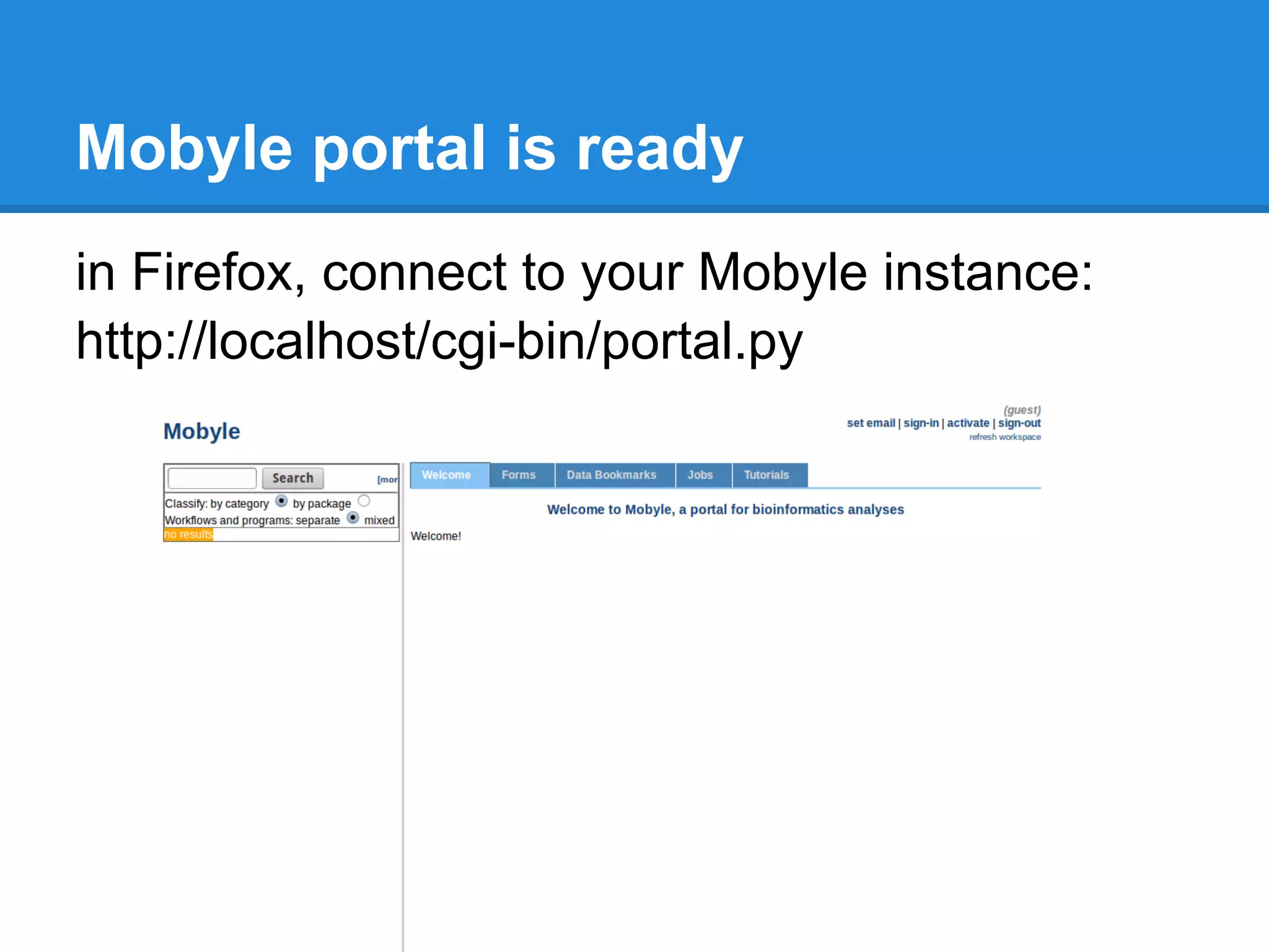 Mobyle portal is ready
in Firefox, connect to your Mobyle instance:
http://localhost/cgi-bin/portal.py
 