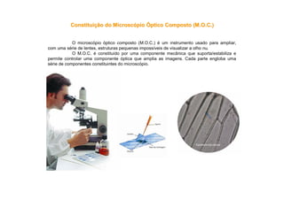 ConstituiConstituiçção do Microscão do Microscóópiopio ÓÓptico Composto (M.O.C.)ptico Composto (M.O.C.)
O microscópio óptico composto (M.O.C.) é um instrumento usado para ampliar,
com uma série de lentes, estruturas pequenas impossíveis de visualizar a olho nu.
O M.O.C. é constituído por uma componente mecânica que suporta/estabiliza e
permite controlar uma componente óptica que amplia as imagens. Cada parte engloba uma
série de componentes constituintes do microscópio.
Epiderme da cebola
 